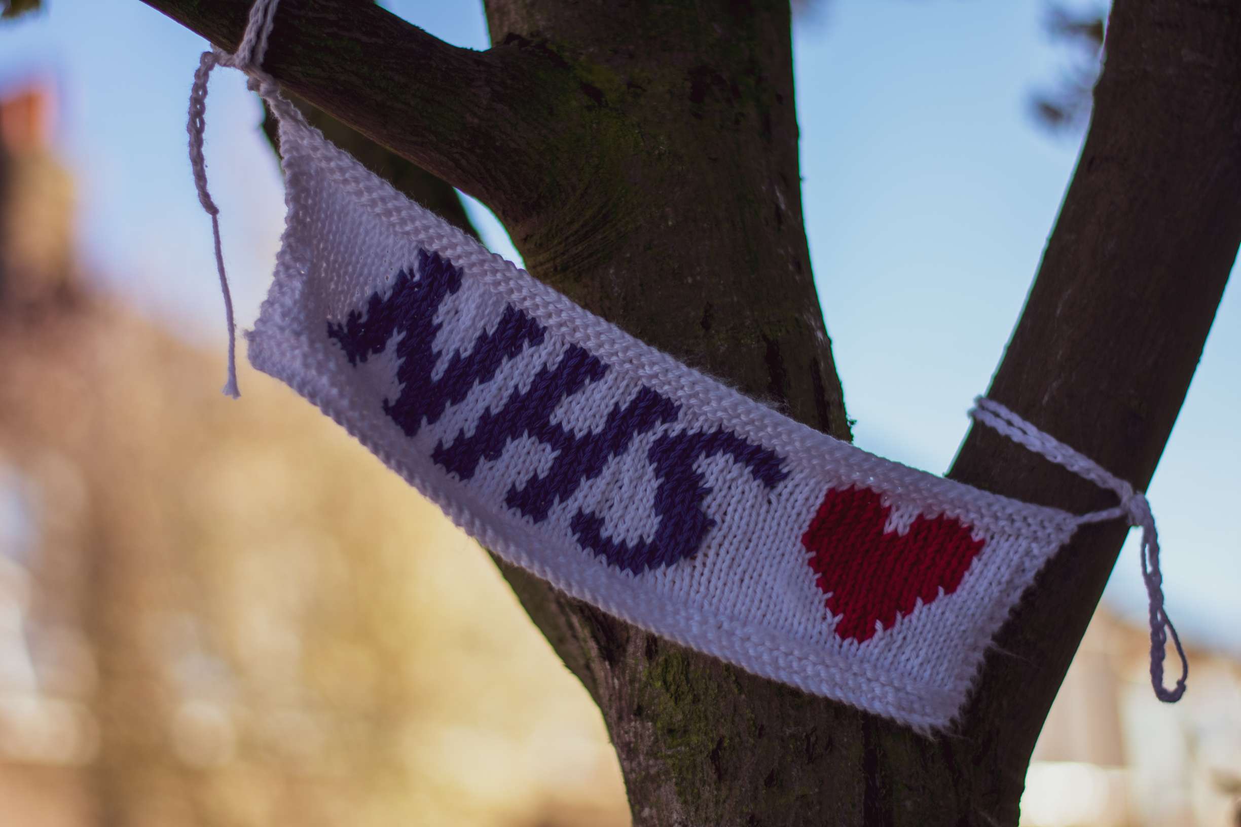 Photo of NHS flag on tree