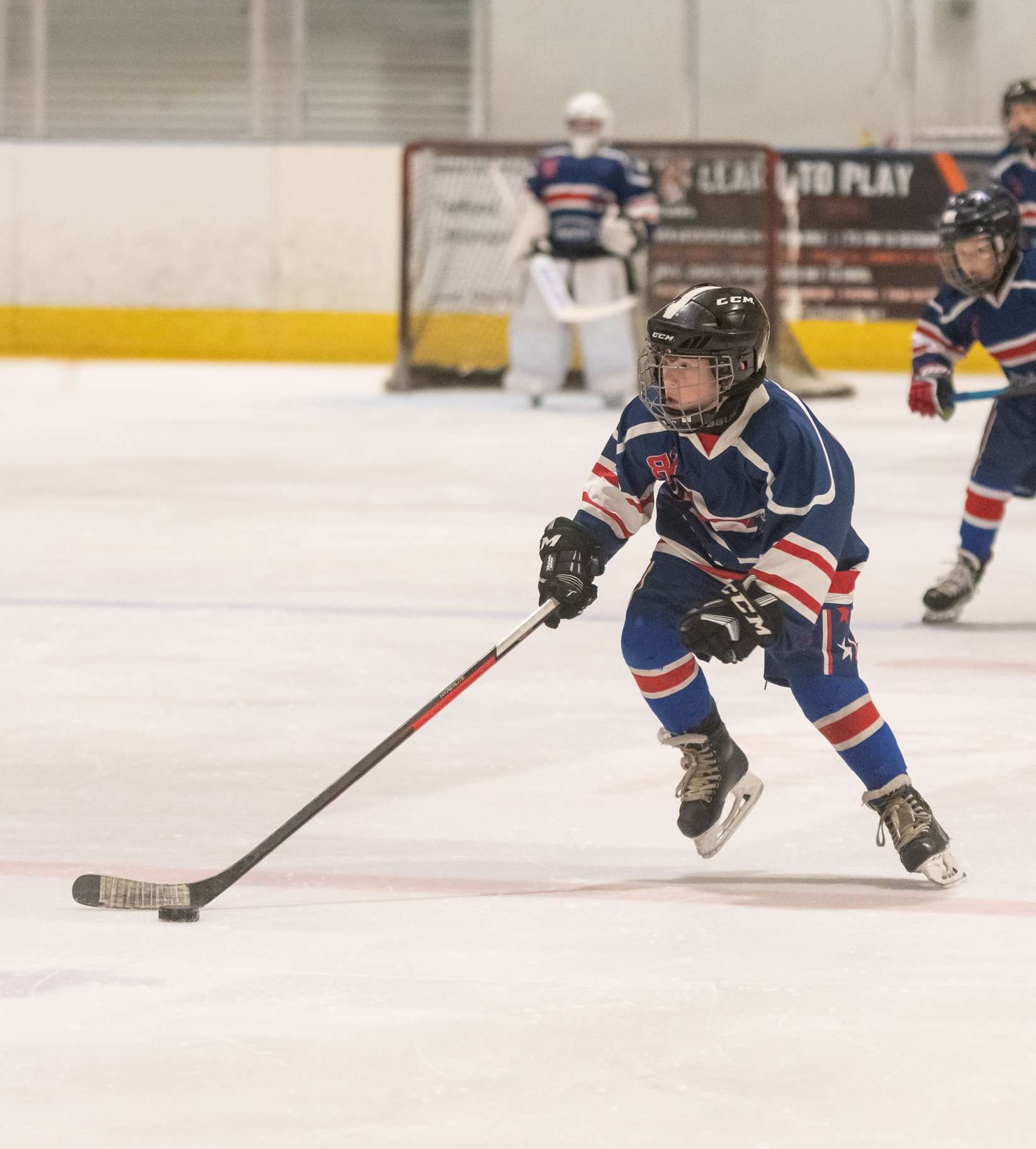 young ice hockey player during play